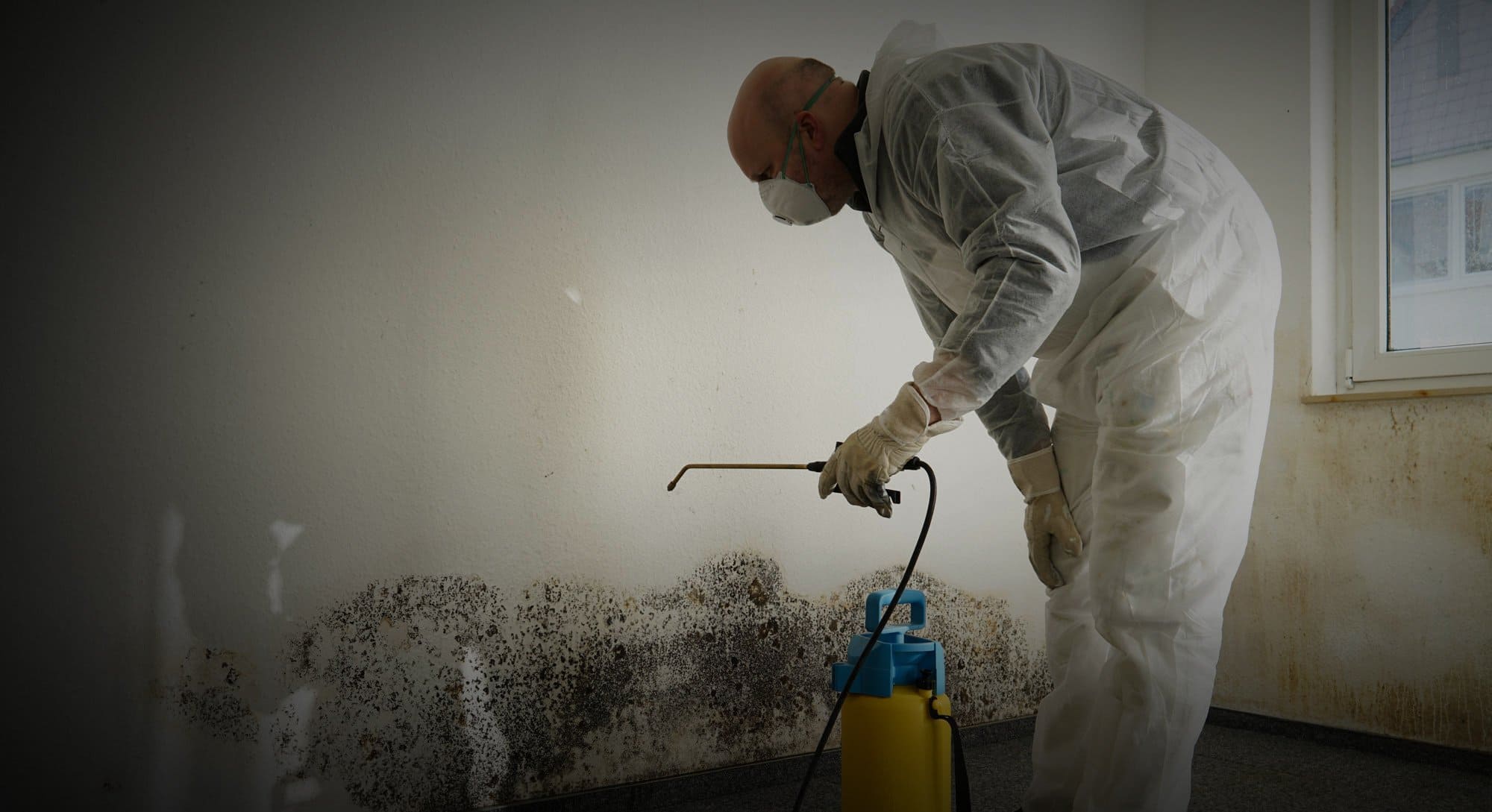 Comprehensive Mold Remediation in Burbank: Protecting Your Health, Home, and Studio from Hidden Threats
